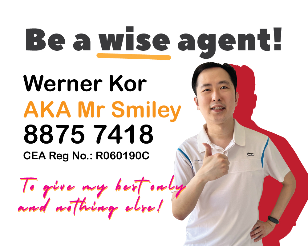 wise agent werner kor