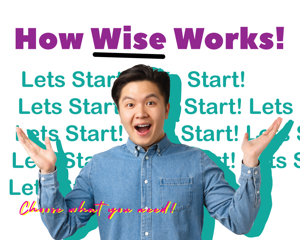 How Wise Seller Works